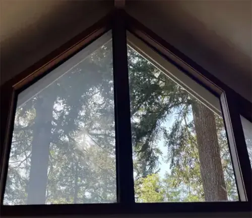 Professional window cleaning