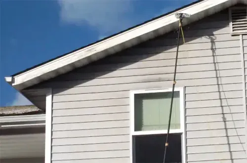 Professional moss removal